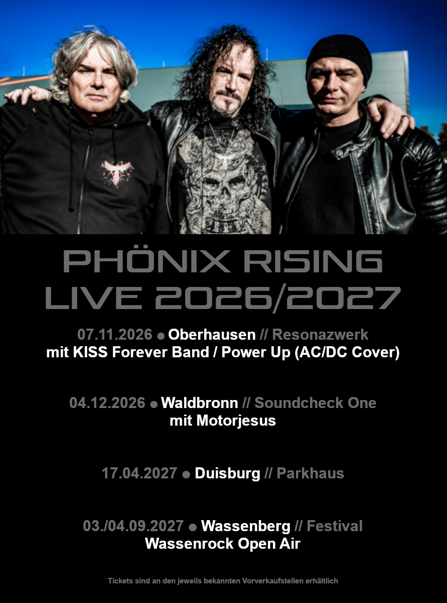 Ph&ouml;nix Rising Baustelle